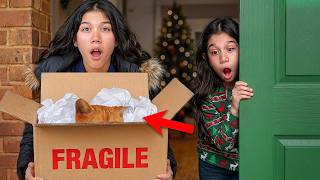 Look Who Showed Up AT Our DOORSTEP!