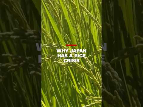 Why Japan has a rice crisis