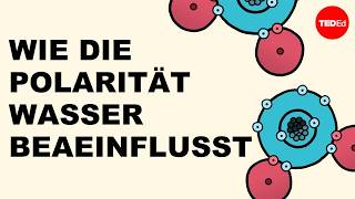Wie die Polarität Wasser beeinflusst– Christina Kleinberg