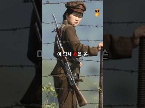 금강산 한국관광객을 죽인 북한범인의 근황