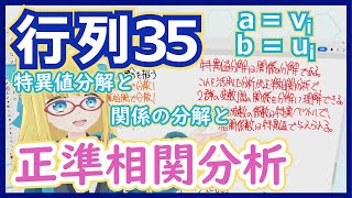 【特異値分解13】正準相関分析 - 2群の変数間の複雑な関係をスッキリ理解！【行列35 正準相関分析】 #199 #VRアカデミア #線型代