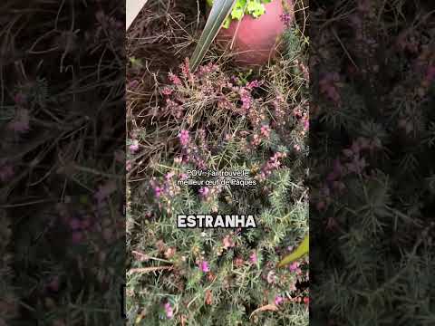 Essa Garota Fez uma Descoberta Incrível 💖