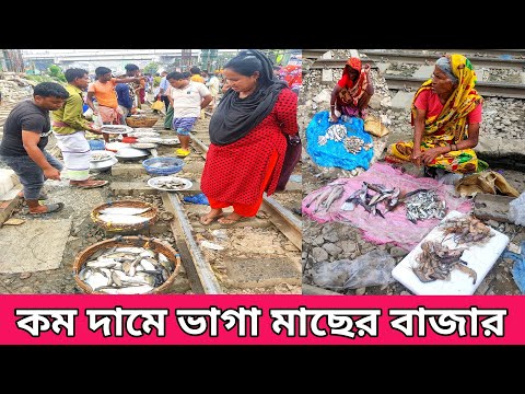সরাসরি দেখুন ঢাকায় কোথায় কম দামে মাছ পাওয়া যায়।Fish Market@Manikganjprotidin