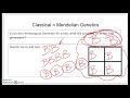 Exploring Punnett Squares in Genetics