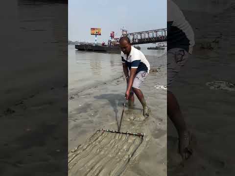this guy found soo many coins #shortsvideo