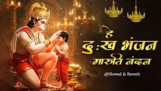 Hey Dukh Bhanjan Lofi [ Slowed Reverb Lofi Version ] हे दुख भंजन | Hanuman Bhajan #lofibhajan 2025