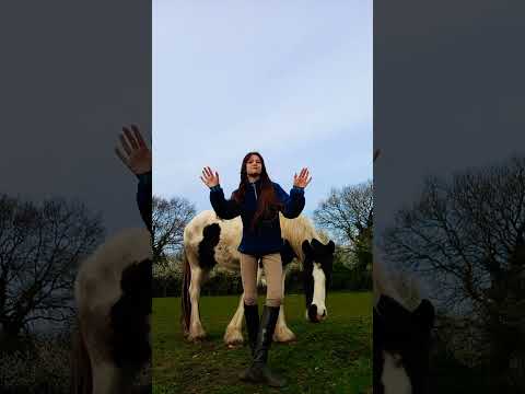 TYSM FOR 21.5K! ❤️ #dance #wednesday #beautiful #love #canter #equine #equestrian #trot #shetland