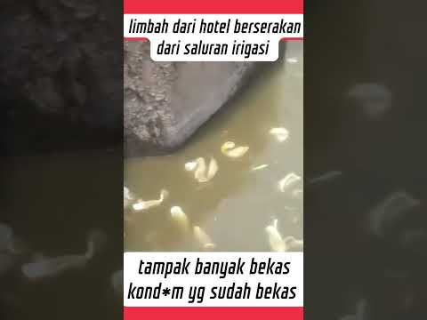 limbah dari hotel berserakan di saluran irigasi #shorts #hotel #remaja #ibukotaindonesia #hiburan