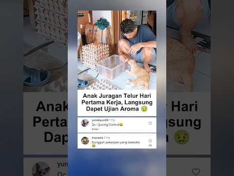 Oyen Kerja Sortir 😭