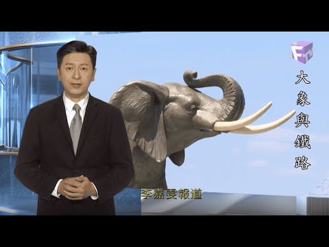 【時代雜誌】2025年10月8日 – 大象與鐵路 (大笨象傳奇與小鎮 St. Thomas 百年故事)