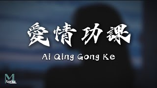 Meng Xi (孟西) - Ai Qing Gong Ke (愛情功課) Lyrics 歌词 Pinyin/English Translation (動態歌詞)