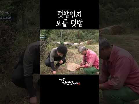 텃밭인지 모를 <strong>텃밭</strong> #shorts