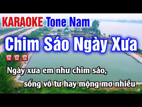 Chim Sáo Ngày Xưa Karaoke Tone Nam Nhạc Sống Thanh Ngân Beat Chuẩn Nhất