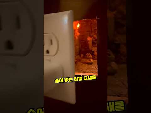 잃어버린 햄스터를 찾아서
