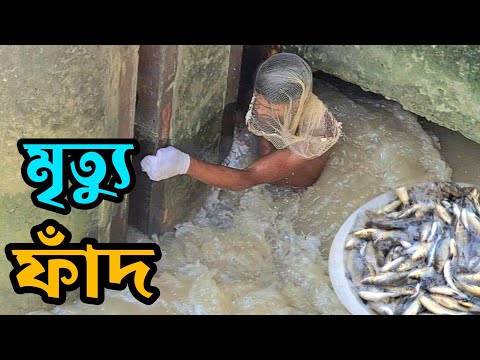 āĻŽā§āϤā§āϝ⧠āĻā§āĻāĻŋ āĻā§āύā§āĻ āĻŽāĻžāĻ āĻļāĻŋāĻāĻžāϰ āĻāϰ⧠āĻā§āĻŦāĻŋāĻāĻž āĻāϞ⧠āĻāĻĻā§āϰ | Life Risky Fishing Competition.