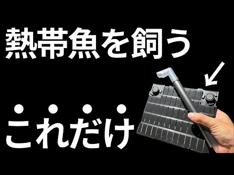 熱帯魚を飼うなら、ろ過フィルターはこれで十分です