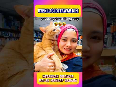Oyen lagi ditawar orang nih #shorts #kucing #kucinglucu