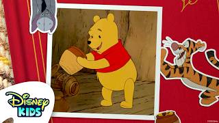 Triff Winnie Puuh 🐻🍯🌳 | Die vielen Abenteuer von Winnie Puuh | @DisneyKidsDE