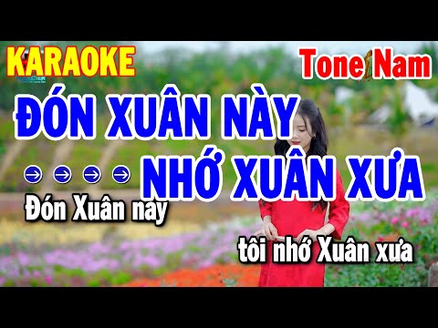 Karaoke Đón Xuân Này Nhớ Xuân Xưa Tone Nam Nhạc Xuân 2024 | Thanh Hải