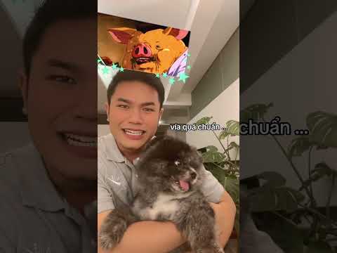 Arigato, cố chấp thì chịu!!!