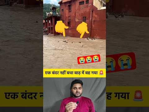 एक बंदर नहीं बचा बाढ़ में बह गया 🚨 #shorts #flood #monkey #animal #flooding #shortvideo #viralvideo