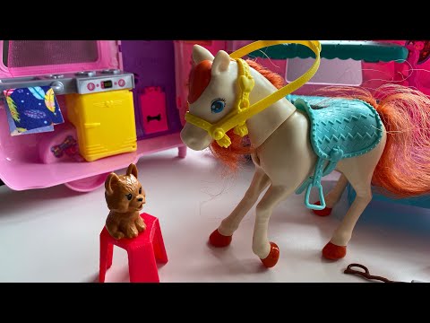 Barbie toys Cat or Dog Learn English in easy way