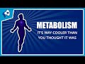 Understanding Metabolism