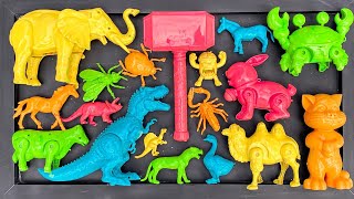 Membersihkan mainan hewan Dinosaurus, Gajah, Kuda, Kelinci, Kepiting, Unta, Bebek, Sapi, Badak.