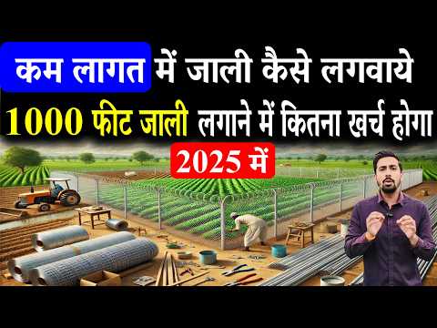 2025 में 1000 फीट में कम लागत में जाली लगाने का सही तरीका | Khet Me Jaali Kaise Lagaye | Chain Link