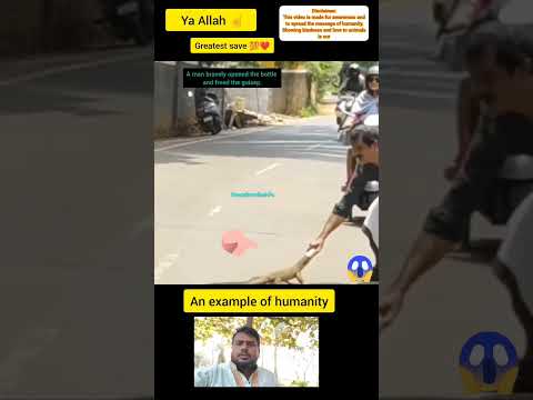 Ya Allah โ๏ธ Greatest save ๐ฑ๐ฑ๐ฑ๐ฑ #shorts #status #respect #short
