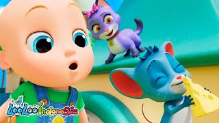 Ayo Ikuti Petualangan Tiga Anak Kucing! 🐾 Lagu Anak Ceria & Edukatif | LooLoo Kids Indonesia