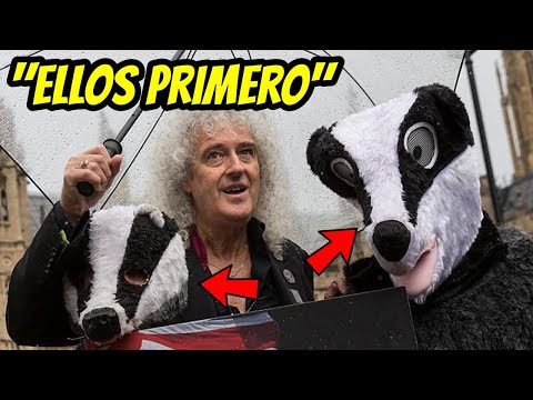 🤔¡BRIAN MAY se PREOCUPA más por los TEJONES que por sus CONNACIONALES!