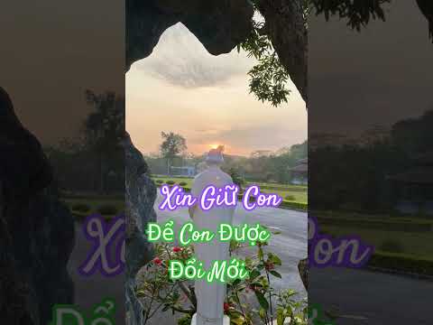 Cầu Nguyện Cùng Chúa mỗi Ngày #caunguyen #caunguyenmoingay #shortvideo