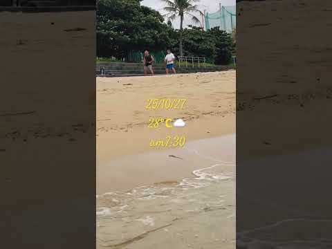 風はありますが、海水は快適です。#沖縄 #継続 #ブルーゾーン #ルーティーン #海外の反応