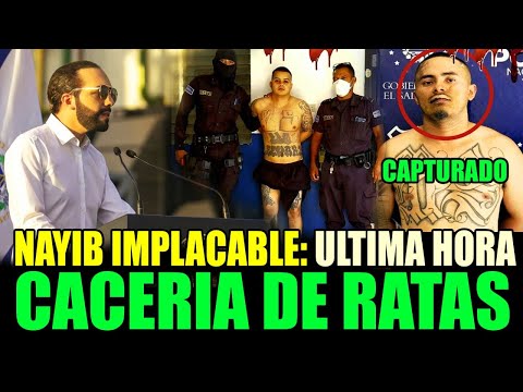 "¡El Salvador no escapará del látigo de la justicia, ratas!"