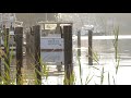 Microorganisms and Water Quality Impact