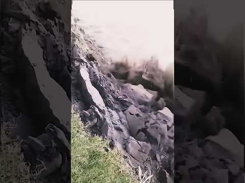 The process of cutting the cracked riverbank area using simple tools manually #shorts