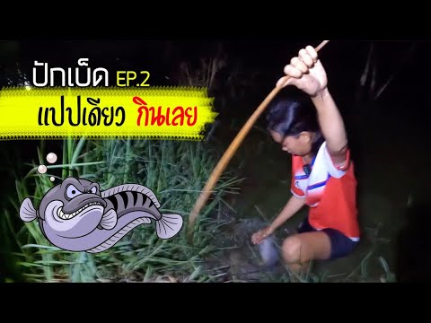 ปักเบ็ดเขียดเป็น แปปเดียว มันซัดเลย | เด็กตกปลา