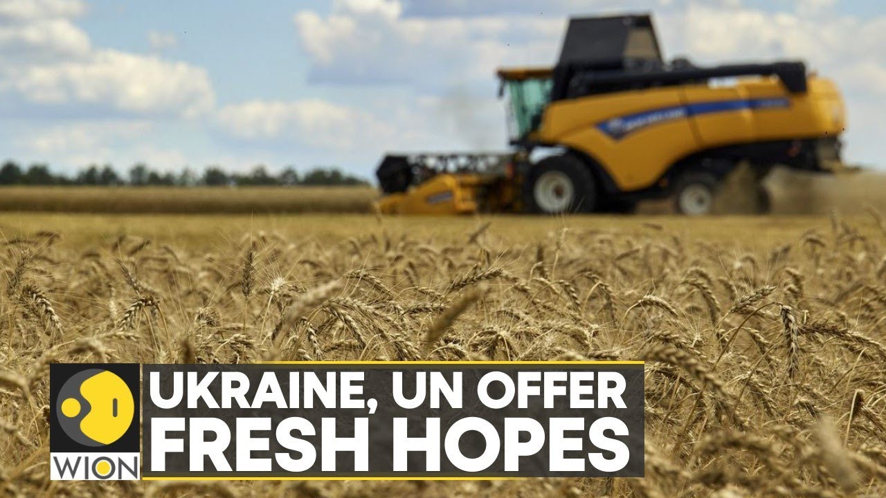 Ukraine works to resume grain exports, should begin again within days
