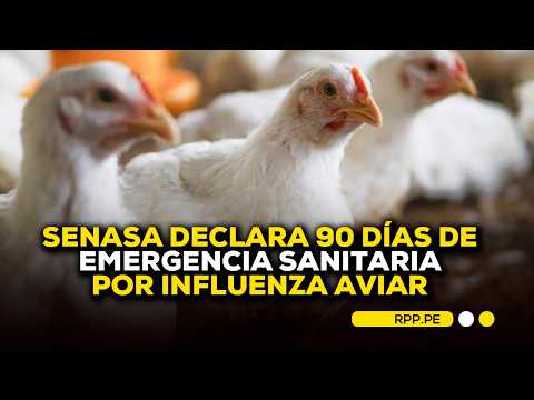 🚨 Senasa declara 90 días de emergencia sanitaria por influenza aviar