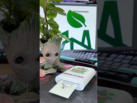 Реальный заказ из Казахстана: экологичный проект для AMANTAY