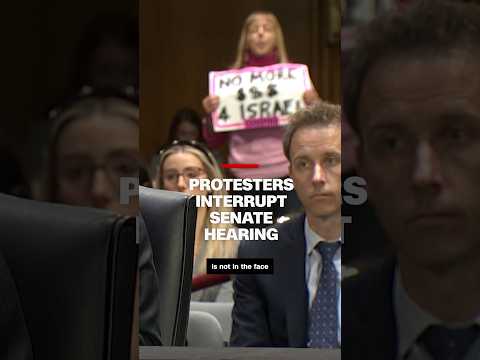 Protesters interrupt Senate hearing on Israel
