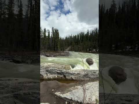 Nature’s Sound: Sunwapta Falls. #TravelAlberta #ExploreCanada #yeg #Jasper