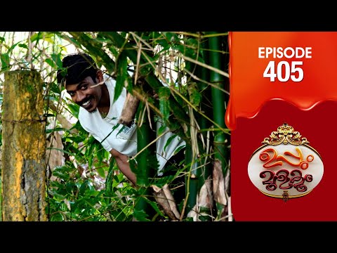 Uppum Mulakum 3 | Flowers | EP #405