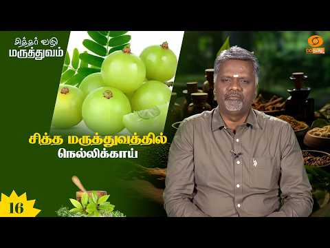 SiddharVazhi Maruthuvam | சித்தர் வழி மருத்துவம் | சித்த மருத்துவத்தில் நெல்லிக்காய்