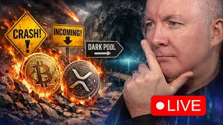 🚨 XRP & Bitcoin Crash Warning: Carry Trade Unwind EXPOSED + Dark Pool Myths | Martyn Lucas Investor
