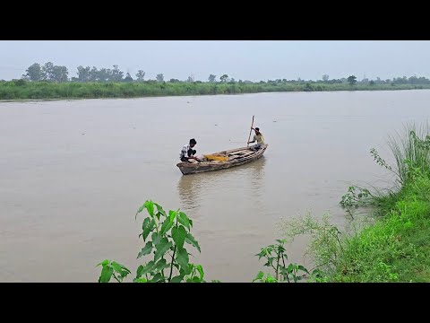 Another new way of catching fish by putting thorns in the river #fishingvideo #fishing