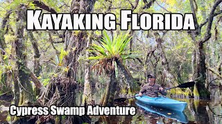 Kayaking Florida: Cypress Swamp Adventure