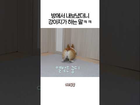 어떻게 나를 쫓아낼 수가 있어..?!