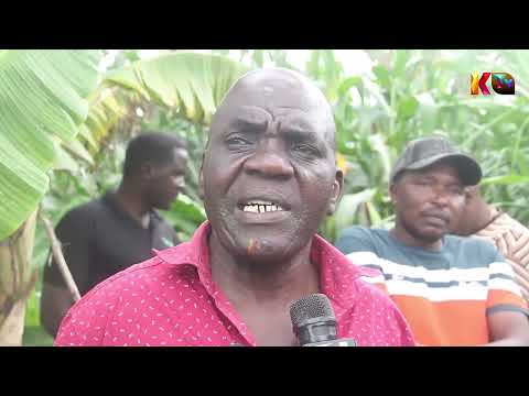 CHANGAMOTO YA MITARO YAWA KERO KWA WAKAZI WA MBEYA  WAOMBA UJENZI WA MITARO KUKABILIANA NA MAFURIKO